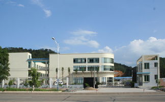 匠心獨(dú)運(yùn)，木藝生輝 探訪高要市白土鎮(zhèn)潤(rùn)和工藝品加工廠與鼎龍木業(yè)