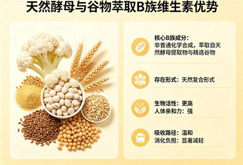 維生素B族吸收之王 2026第三方生物利用率實(shí)測(cè)榜單與微囊工藝深度盤(pán)點(diǎn)